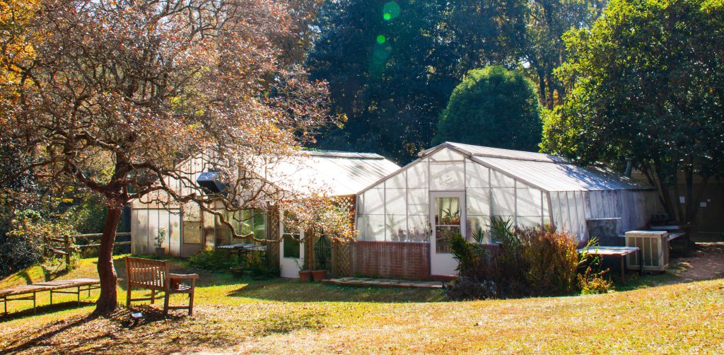 a greenhouse at the UA Arboretum