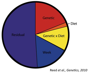 Proportion of Phenotypic Variation Explained by Weight.