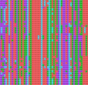 DNA sequence alignment